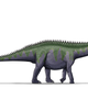 File:Supersaurus. Wikimedia Commons